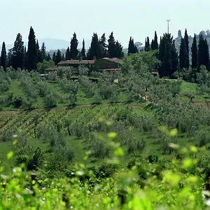 Fattoria Casa Sola Séjour à la campagne